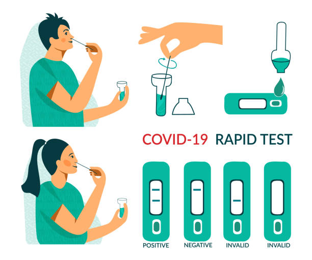 экспресс-тест на антиген covid-19 для детей в школе. коронавирус носовой пцр экспресс-тест для детей. воспитанницы девочки и мальчика делают те� - at home covid test stock illustrations