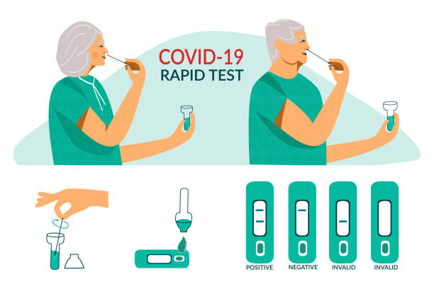 szybki test antygenowy covid-19 dla starszych osób starszych. koronawirus wirusa nosa pcr wymaz szybki test. starszy dorosły mężczyzna i kobieta robią test na koronawirusa w domu. płaska ilustracja wektorowa izolowana na białym - at home covid test stock illustrations