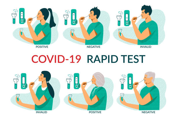 экспресс-тестирование на антиген covid-19 для взрослых, пожилых людей и детей.  экспресс-тест мазка пцр на ноз на коронавирус. люди сами делают т - at home covid test stock illustrations