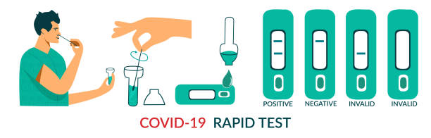 rapid covid-19 antigen testing kit for people at home. steps of corona virus nasal pcr swab rapid test. man himself makes test for coronavirus at home. flat vector illustration isolated on white - at home covid test 幅插畫檔、美工圖案、卡通及圖標