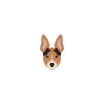 Rat Terrier head. Dog vector illustration.