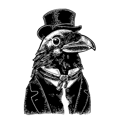 Raven gentlemen dressed in suit, tie and rectangular cylinder. Vintage black engraving