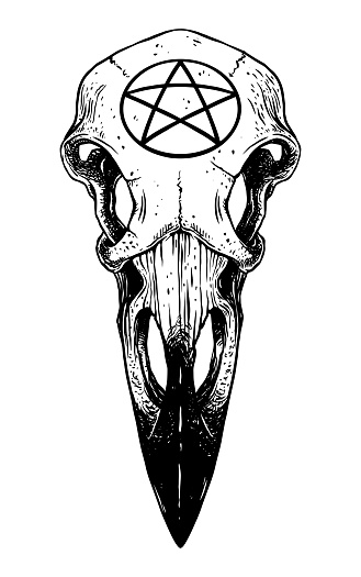 raven skull with pentagram. vector illustration