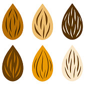 Raw almond nut set various color. flat style vector illustration.