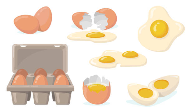 Raw, broken, boiled and fried eggs flat item set Raw, broken, boiled and fried eggs flat item set. Cartoon domestic chicken eggs with yellow yolk isolated vector illustration collection. Organic farm products and food concept egg stock illustrations