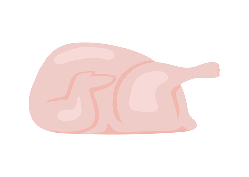 Raw chicken meat, food chicken carcass. Side view. Vector illustration