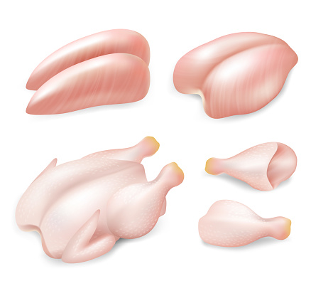 Raw fresh chicken parts set. Vector realistic illustration of whole chicken, breast, breast halves fillets and drumsticks for cooking isolated on white background. Fresh hen meat concept. vector