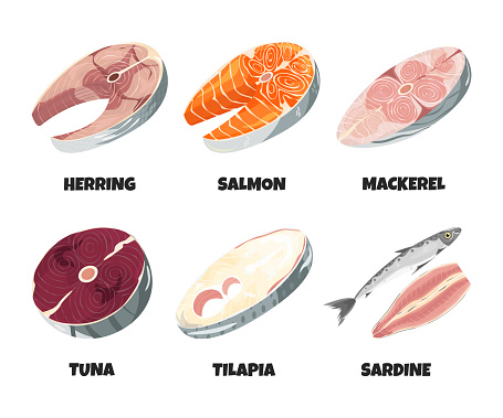 Raw fresh fish steak collection isolated on white. Realistic trout, herring, sardine, mackerel, tuna, tilapia fillet, seafood product with omega, design element set. Vector cartoon flat illustration