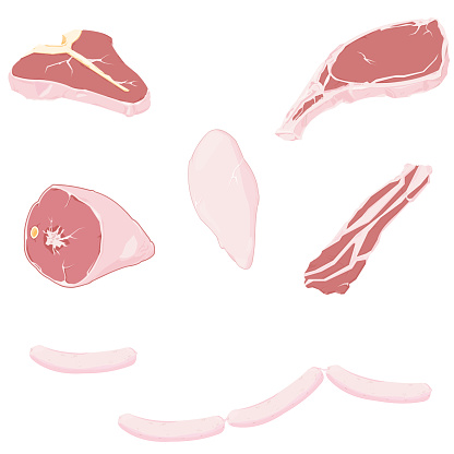 A vector illustration of various raw meats. vector