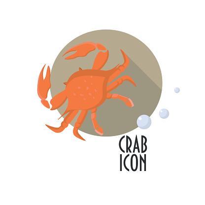 Ready-to-eat Maryland Blue Crab illustration. Steamed Maryland Crab icon.