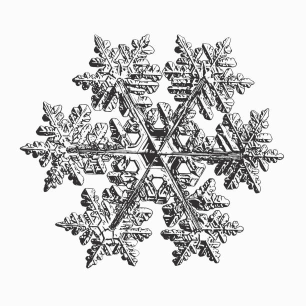 Real snowflake on white background vector art illustration