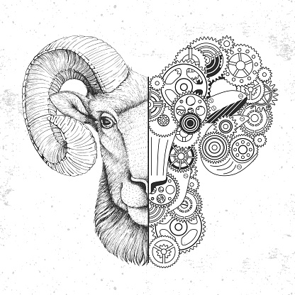 Realistic and punk style ram or mouflon head illustration. Ram or mouflon head silhouette with gears. Vector illustration