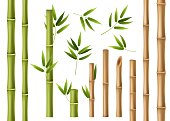 Realistic bamboo. Green and brown bamboo stems with leaves, asian forest 3d vector isolated china and japan decoration abstract chinese elements