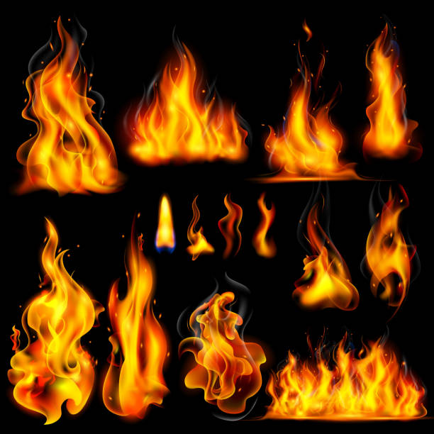 Realistic Burning Fire Flame illustration of Realistic Burning Fire Flame on black background fire flames stock illustrations