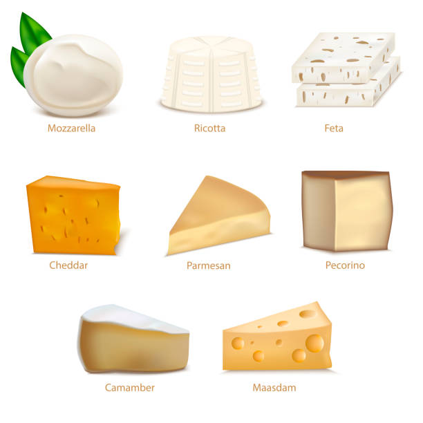 Realistic Detailed 3d Cheese Different Types Set. Vector Realistic Detailed 3d Cheese Different Types Set Include of Cheddar, Parmesan, Maasdam, Camembert, Mozzarella and Feta. Vector illustration cheddar cheese stock illustrations