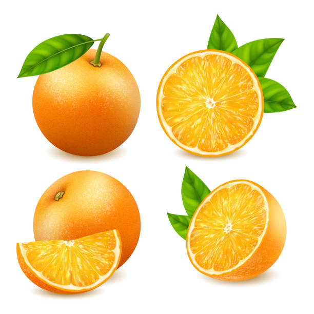 gerçekçi detaylı 3d taze olgun bütün ve portakal dilimi seti. vektör - turuncu stock illustrations