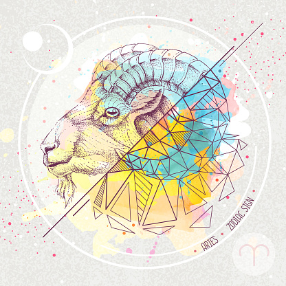 Realistic hand drawing and polygonal ram of mouflon head illustration on watercolor background. Magic card with Aries zodiac sign