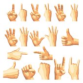 Vector illustration.Set of isolated realistic human hands showing different gestures,signs or numbers,seen from different sides,front and back.