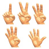 Vector illustration.Set of isolated realistic human hands showing different gestures,signs or numbers,seen from different sides,front and back.