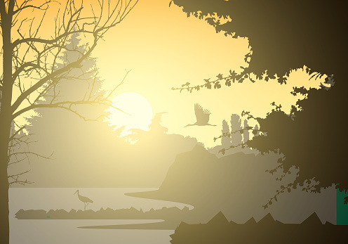 Realistic illustration of landscape and wetland with standing and flying bird and trees. Rising sun with beams on morning yellow orange sky - vector