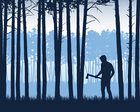 Realistic illustration of landscape with coniferous forest with pine trees under blue sky. Man with ax or lumberjack stands in grass - vector