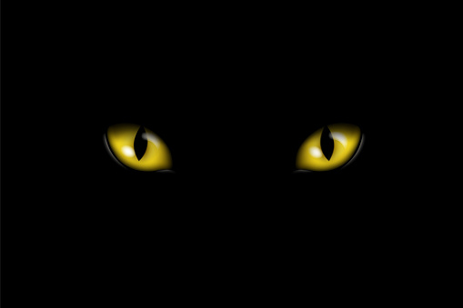 Realistic illustration of yellow or orange feline eyes or cat eye, isolated on black background - vector