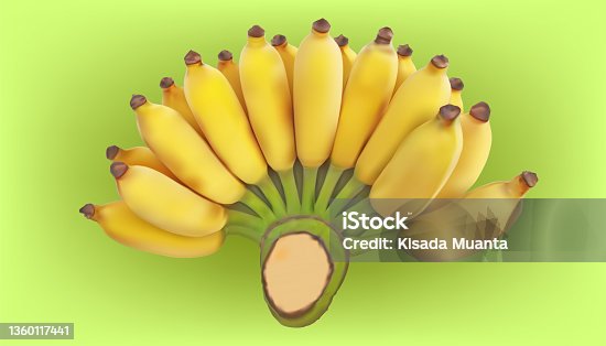 istock realistic one group yellow ripe banana fruit. vector illustration eps10 1360117441