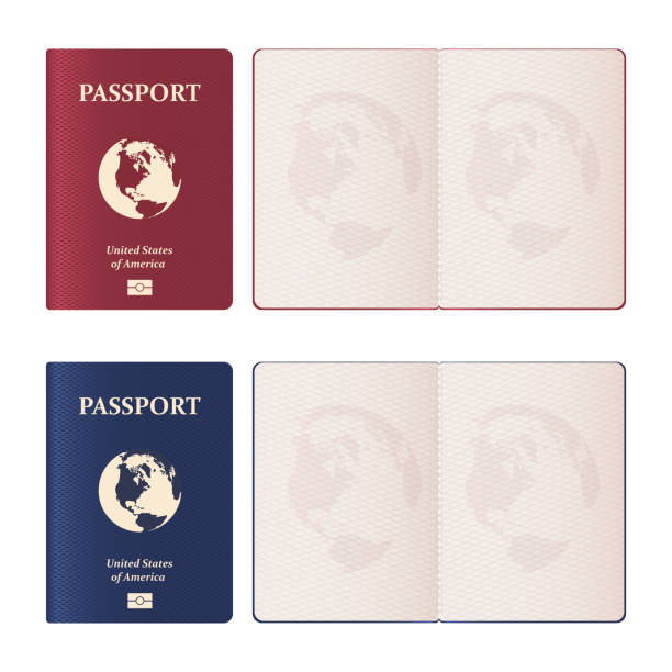 ilustrações, clipart, desenhos animados e ícones de ilustração realística do projeto do vetor do passaporte isolada no fundo branco - passport