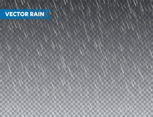 투명 한 배경에 현실적인 비 질감. 강우량, 물 방울 효과. 가을 젖은 비오는 날. 벡터 일러스트레이션 - 비 stock illustrations