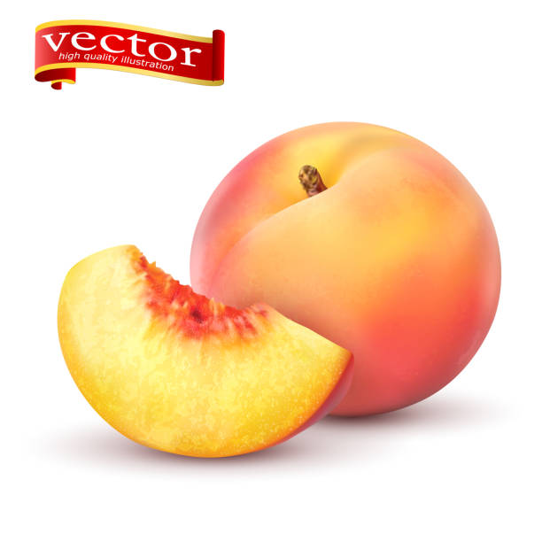 Realistic Ripe peaches, whole and slice. Peach juicy sweet fruit realistic 3d vector Realistic Ripe peaches, whole and slice. Peach juicy sweet fruit realistic 3d vector high detail isolated on white background peach stock illustrations