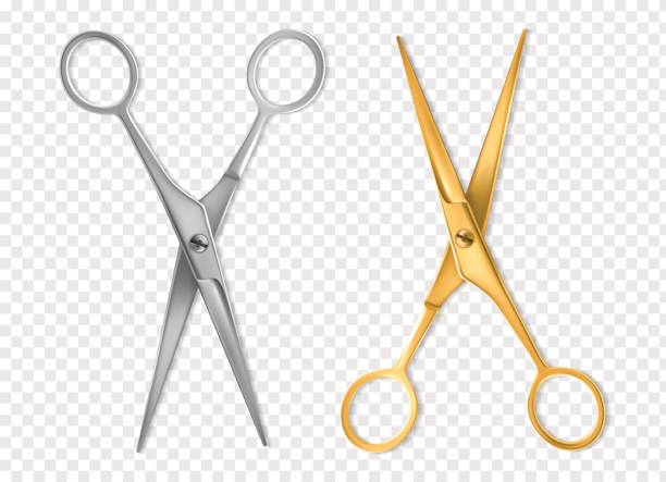 Realistic scissors. Silver and gold metal classic scissors tool mockup, hairdresser or tailor instrument isolated vector set Realistic scissors. Silver and gold metal classic scissors tool mockup, hairdresser or tailor instrument isolated vector handling cutting equipment set scissors stock illustrations