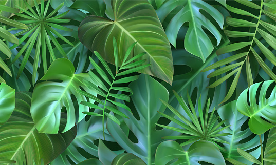 Realistic, seamless pattern with tropical leaves