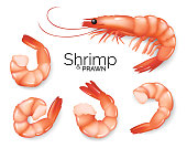 istock Realistic shrimp set isolated on white background, prawns fresh sea food appetizer, vector illustration. 1340592464