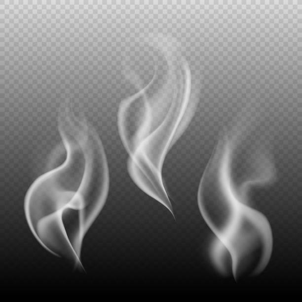 steam free brushes 244 free downloads