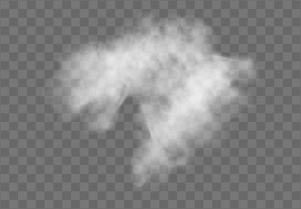 現実的な透明な特殊効果は霧や煙で際立っています。白い雲のベクトル、霧またはスモッグ。eps 10 - ゆげ点のイラスト素材／クリップアート素材／マンガ素材／アイコン素材