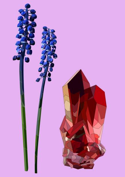 bildbanksillustrationer, clip art samt tecknat material och ikoner med realistisk vektor konst set med rubinkristall och muscari blomma på en rosa bakgrund - red hyacinth
