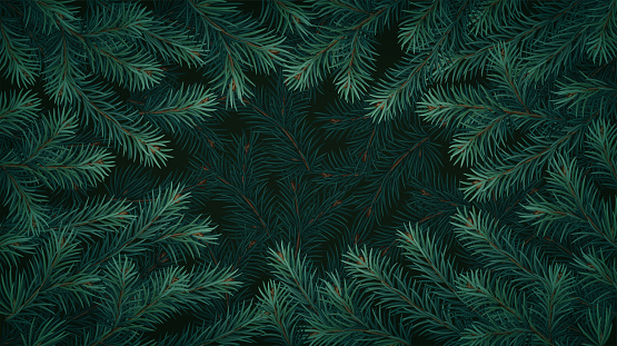 Realistic vector Christmas tree branches background. Christmas decoration concept
