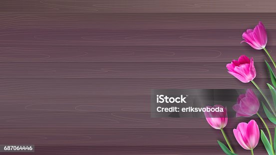istock Realistic vector colorful pink tulips set on wooden background from planks. Not trace. Template with pink tulips for Valentine or Mother day, postcards, printing on t-shirts with love for loved ones 687064446