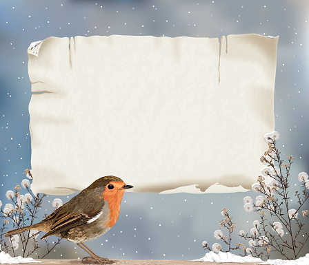Realistic Vector Illustration of Robin in Winter. Banner for Text.