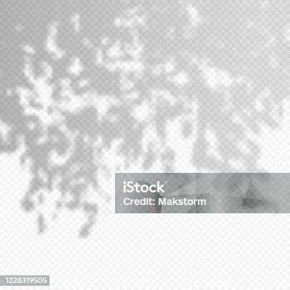 istock Realistic Vector transparent overlay blured shadow of branch leaves. 1328319505