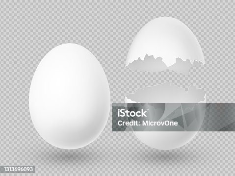 istock Realistic vector white eggs with whole and broken shell isolated 1313696093