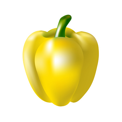 Realistic vector yellow bell pepper, 3d illustration isolated on white background.
