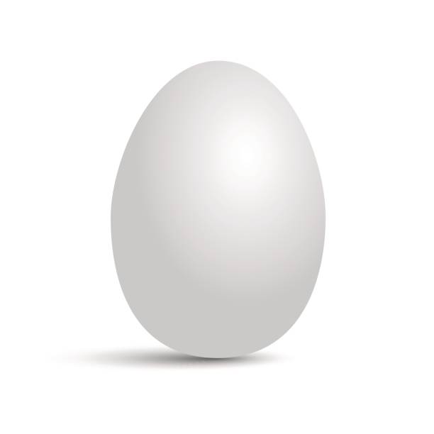 Egg Frau Single