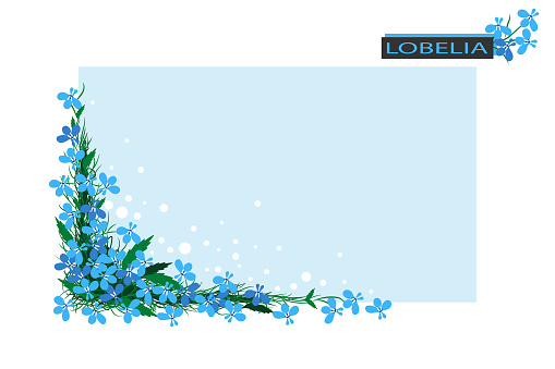 Rectangular frame with blue lobelia. Corner of flowers and leaves. Background with copy space for design. Flat style.