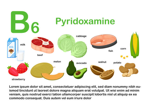 Rectangular poster with food products containing vitamin B6. Pyridoxamine. Medicine, diet, healthy eating, infographics. Products with the name.Flat cartoon food illustration isolated on white. Rectangular poster with food products containing vitamin B6. Pyridoxamine. Medicine, diet, healthy eating, infographics. Products with the name.Flat cartoon food illustration isolated on white corn beef and cabbage stock illustrations