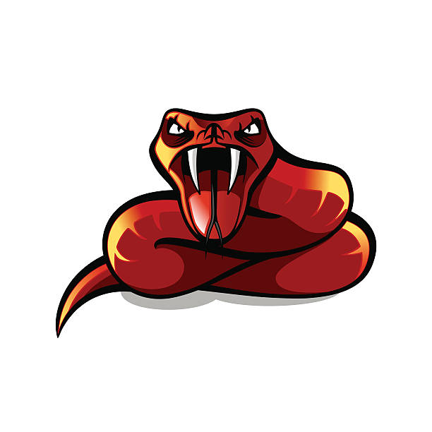 Red Aggressive Viper Red aggressive viper, red snake attaking, vector illustration snake head stock illustrations