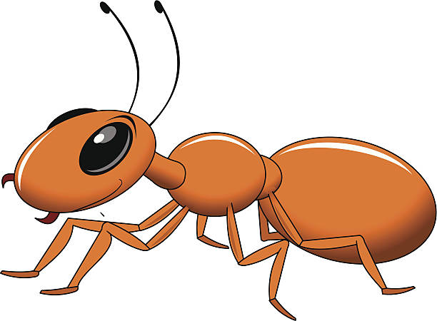 red ant cheerful little red ant, vector and illustration ant clipart pictures stock illustrations