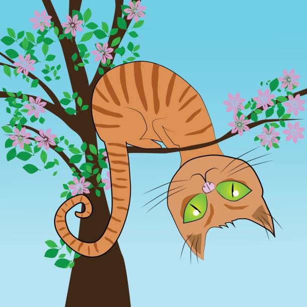 Top 60 Cat Climbing Clip Art, Vector Graphics and Illustrations iStock