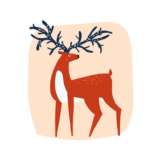 bildbanksillustrationer, clip art samt tecknat material och ikoner med red deer flat handritad illustration - whitetail