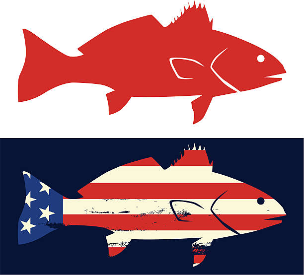 Red Drum Fish Svg - 1383+ Popular SVG File - The Best Sites to Download ...